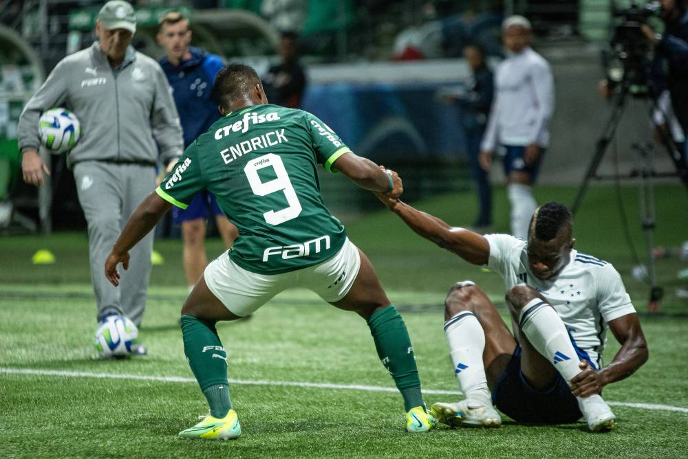 Jogador do palmeiras e cruzeiro durante partida do Braisleirão